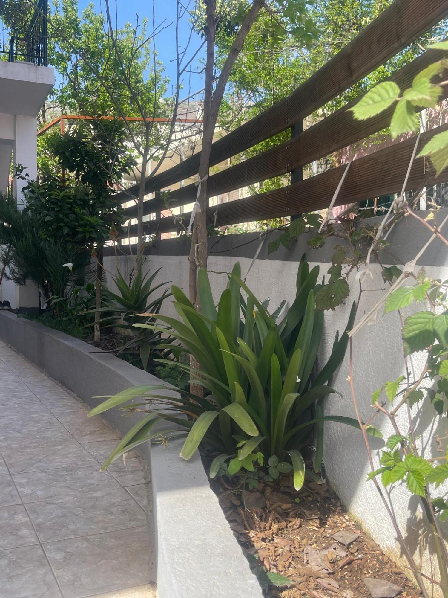 Sunflower Apartments Sarandë Eksteriør billede